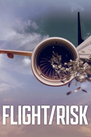 Nonton Film Flight/Risk (2022) Terbaru