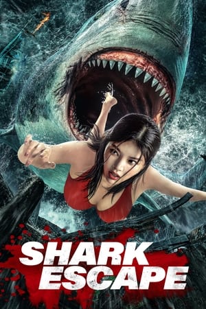 Nonton Film Escape of Shark (2021) Terbaru Nonton Film Escape of Shark (2021) Terbaru