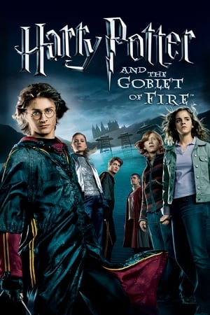 Nonton Film Harry Potter and the Goblet of Fire (2005) Terbaru Nonton Film Harry Potter and the Goblet of Fire (2005) Terbaru