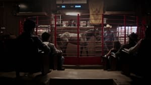 Nonton Film Cowboy Cartel Season 1 Episode 2 Terbaru
