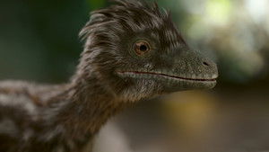Nonton Film The Dinosaurs Season 1 Episode 1 Terbaru